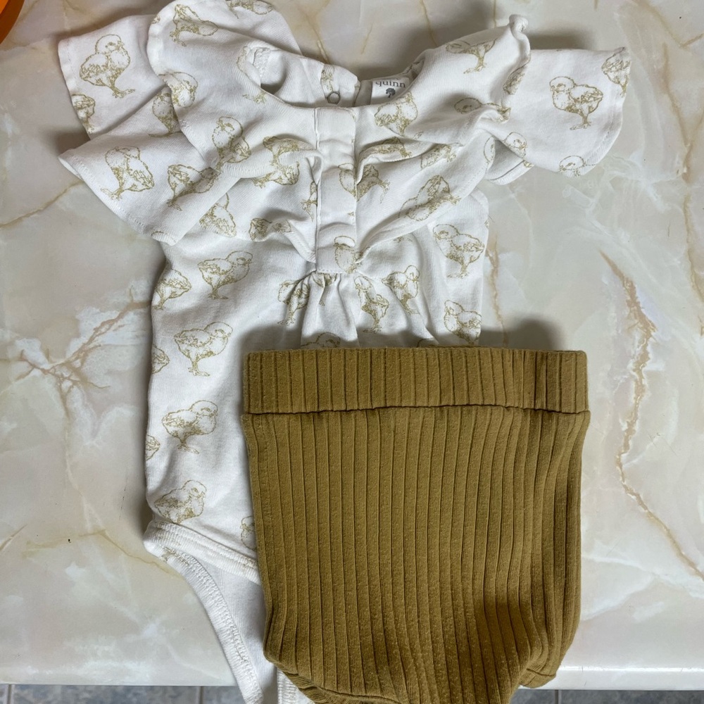 Kate Quinn baby girl chicks outfit